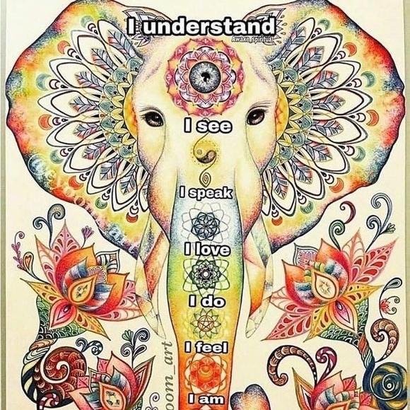 Meet your Posher, Maddy - Picture 2 of 2